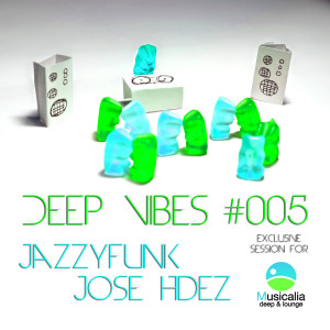 DEEP VIBES SESSION Vol.#005