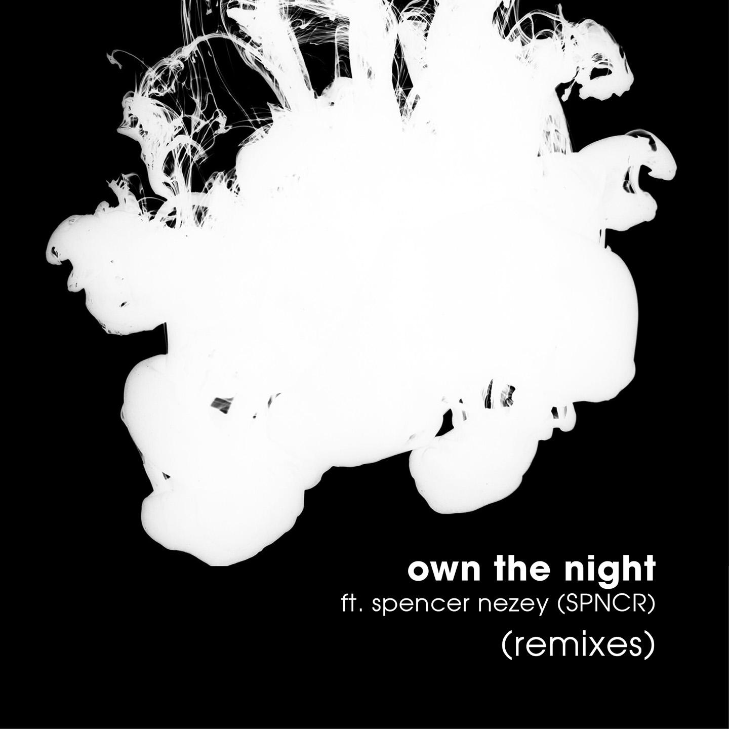 Own The Night (Remixes)